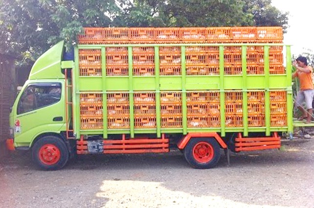 Farmsco Kunci Kurangi Kematian Saat Transportasi