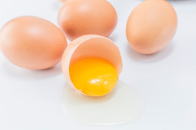 Racikan Umpan Telur